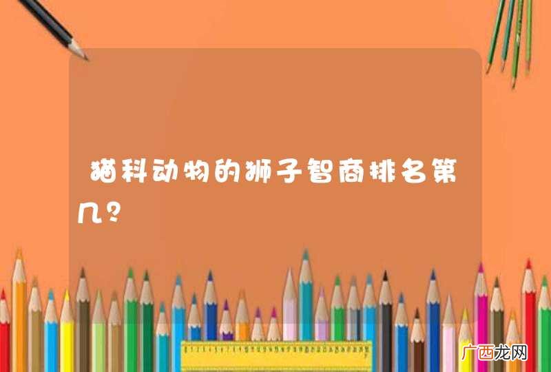 猫科动物的狮子智商排名第几？