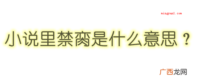 小说里禁脔什么意思？
