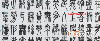 秦统一全国后统一的标准文字是什么？