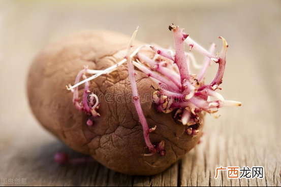 土豆在家里应该怎样长期保存 储存土豆的最佳方法