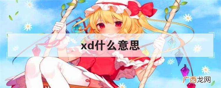 xd什么意思
