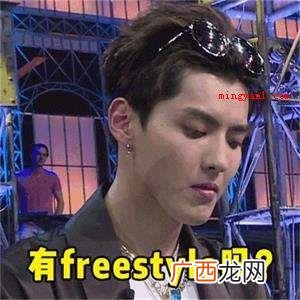 freestyle是什么梗