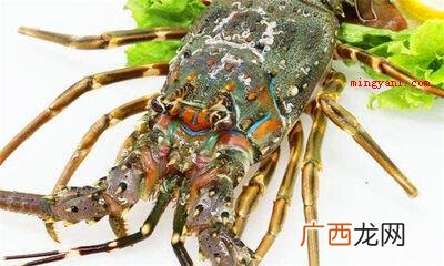 如何洗大龙虾又快又干净