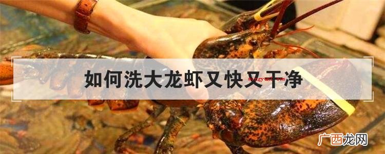如何洗大龙虾又快又干净