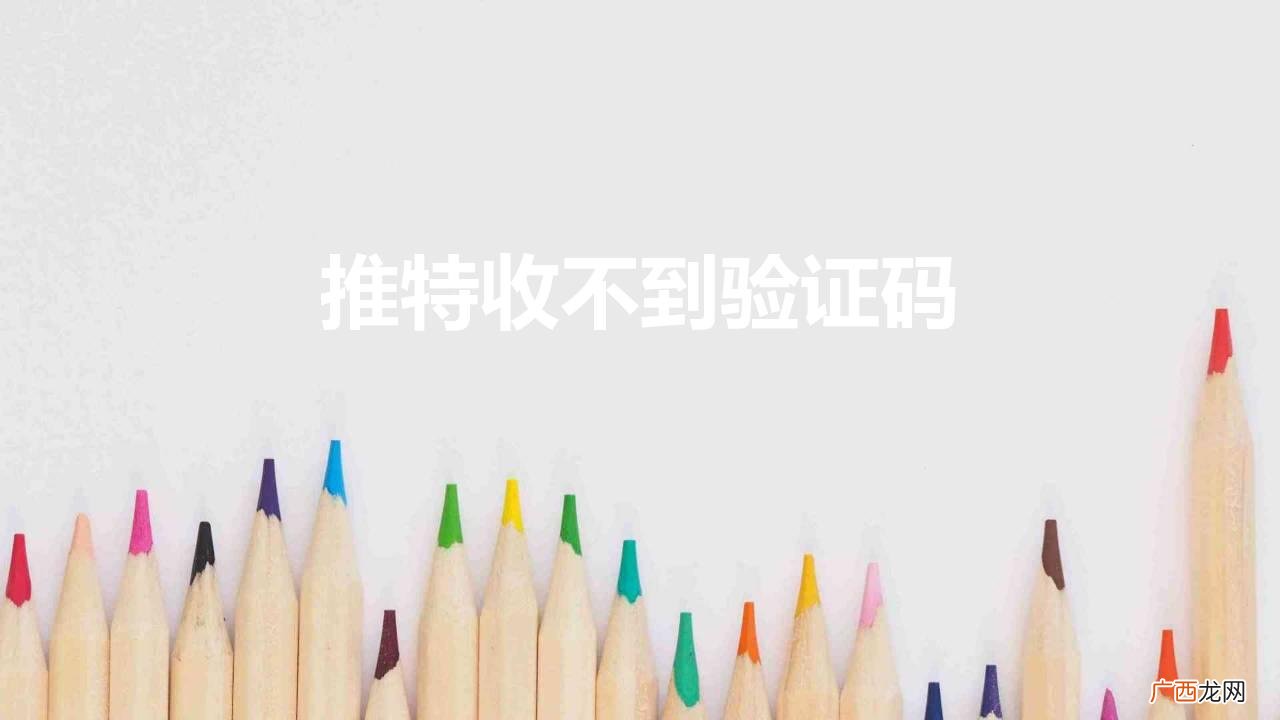 推特收不到验证码