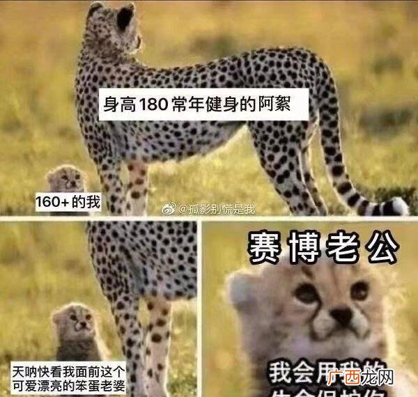 《山河令》周子舒爆红水平被别人汇总为十年硬汉无人知 一朝老婆 十年硬汉无人知 一朝老婆天下闻是什么梗