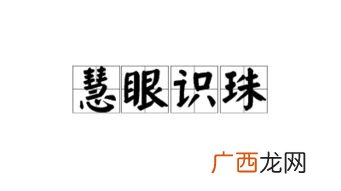 慧眼识珠什么意思,冰心见月慧眼识珠啥意思?