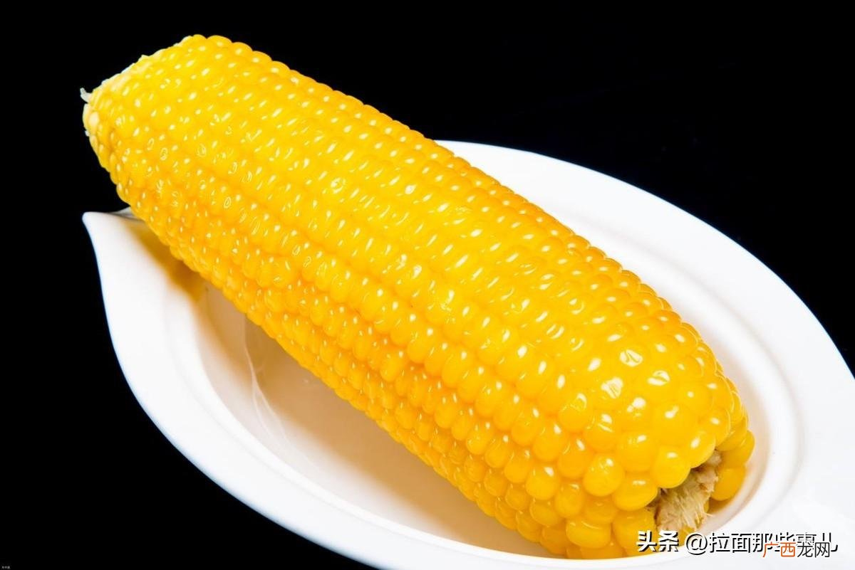 黄色和白色玉米的区别 黄玉米和白玉米哪个好吃