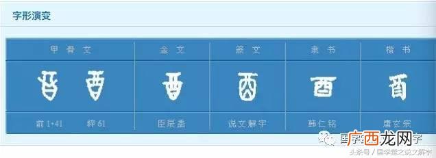 属鸡 酉是什么生肖