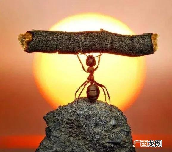 怎么看待佛系人生观 网络用语佛系青年是什么意思