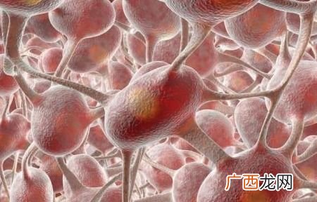 dic是什么意思,车dic是什么键？