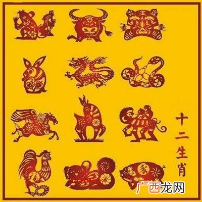 夜肖是哪几个生肖？