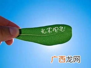 抱怨是什么意思,形容没完没了的抱怨，诉说.是什么词语？