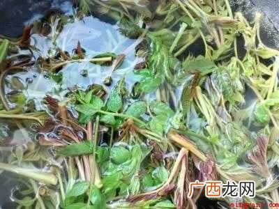 香椿芽炒鸡蛋怎么做好吃