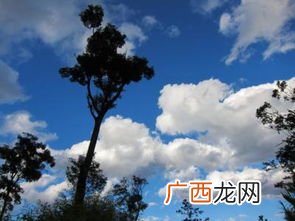 陌上是什么意思,陌上”是什么意思？如陌上桑”“陌上花开”？
