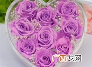 一朵玫瑰花代表什么意思,一朵花代表什么花语？