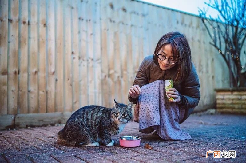 猫粮怎么做 ，自制猫粮的做法 怎样自制猫粮省钱又营养