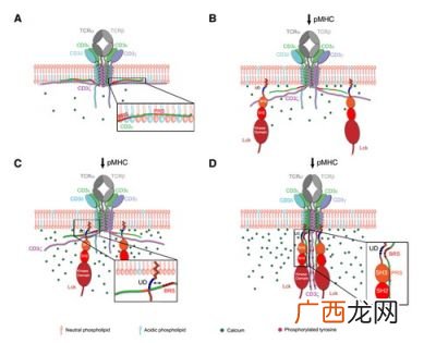 静电作用,静电能公式？