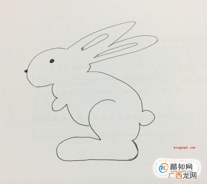 中秋节的玉兔怎么画