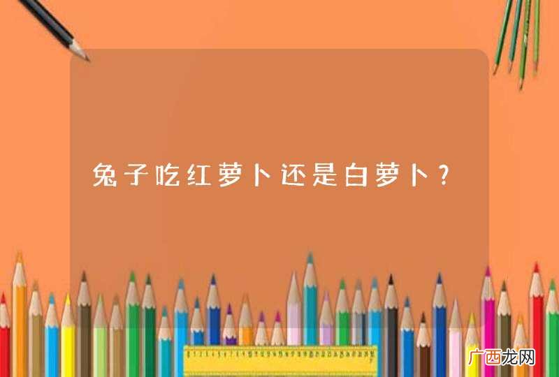 兔子吃红萝卜还是白萝卜？