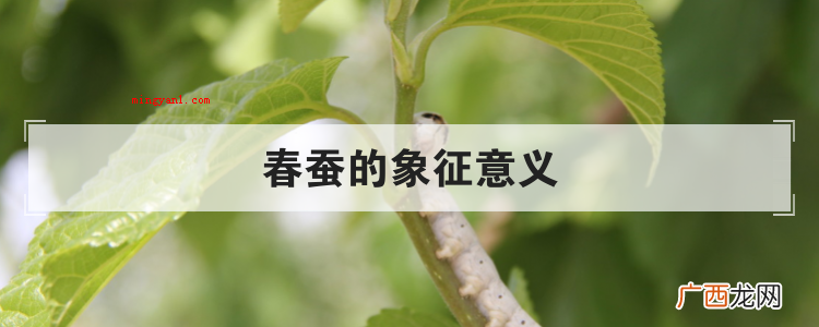春蚕的象征意义