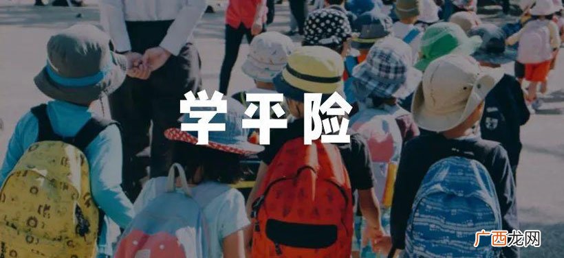 值得买吗，怎么选 什么是学平险