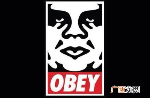 obey是什么意思,obey反义词？