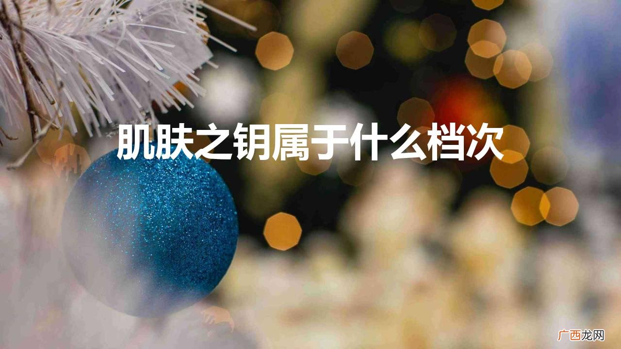 肌肤之钥护肤品适合什么肤质 肌肤之钥属于什么档次