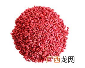 包衣是什么意思,古代包衣是什么意思？