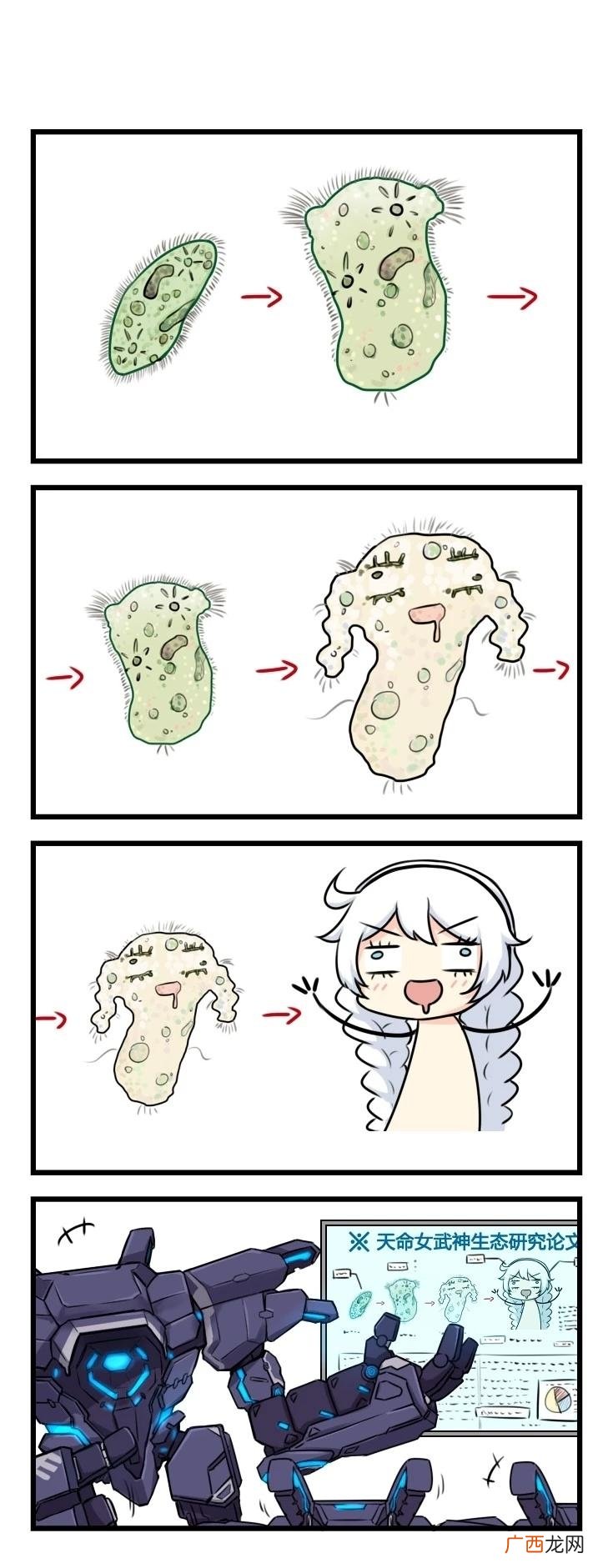 还不知道得话百度搜索去 原来指草履虫这类生物 草履虫是什么意思