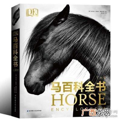 dk百科全书怎么区分正版,dk百科适合多大孩子？