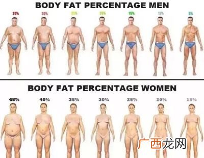体脂怎么测,体脂秤显示怎么看？