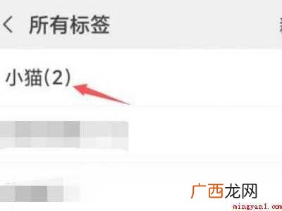 演示机型:Iphone 12 微信分组怎么删除标签