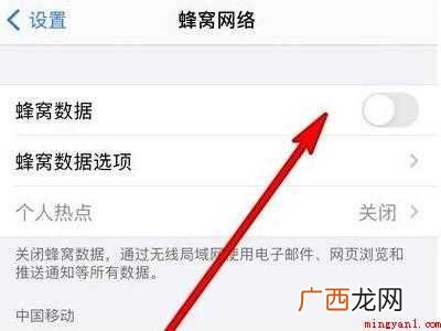 苹果手机怎么打开数据网络