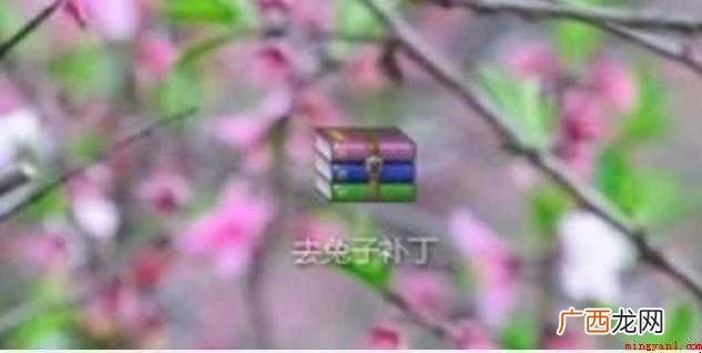 mirror去兔子补丁怎么用