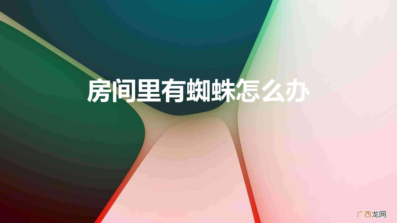 消除进来家里的蜘蛛的小妙招 房间里有蜘蛛怎么办
