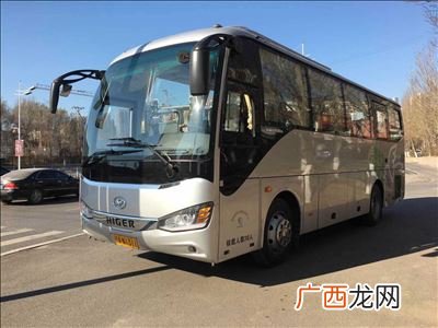 大巴车能带宠物吗,宠物猫可以带上大巴吗？