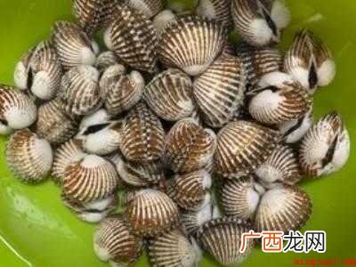 血蛤怎么做
