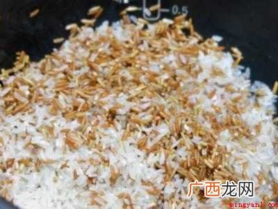 红米饭怎么煮