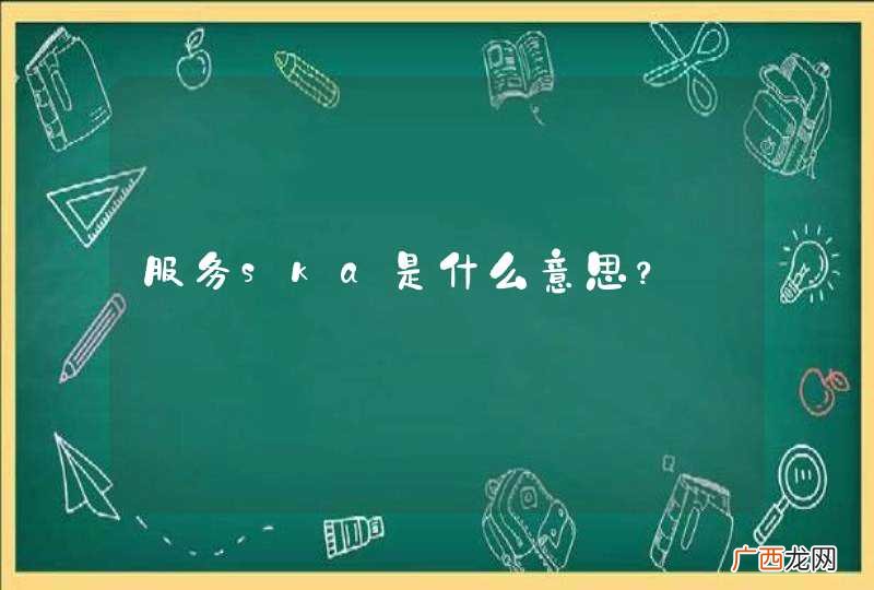 服务ska是什么意思？