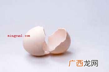 鸡蛋壳是什么物质组成的