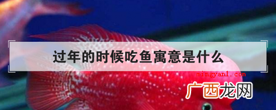 过年的时候吃鱼寓意是什么