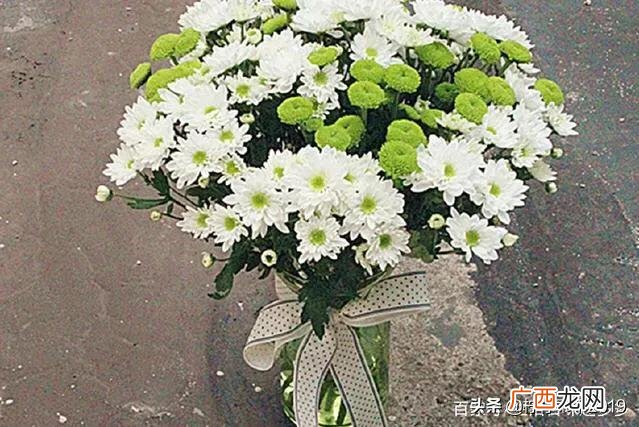 花店怎么保存鲜花,开花店如何给鲜花保鲜？