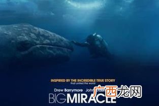 miracle是什么意思,Miracle和Wonder的区别？