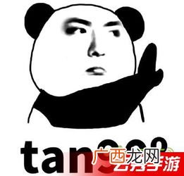 ta是什么意思,TA到底是什么意思？