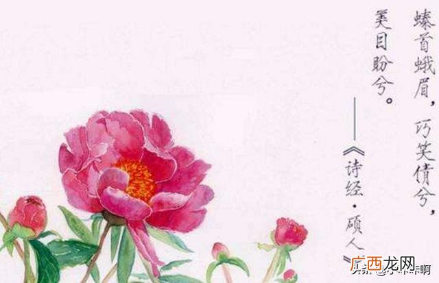 巧笑倩兮,美目盼兮是什么意思,巧笑倩兮，美目盼兮什么意思？