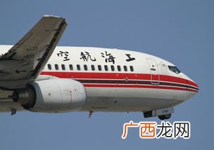 flies是什么意思,是什么意思flies？
