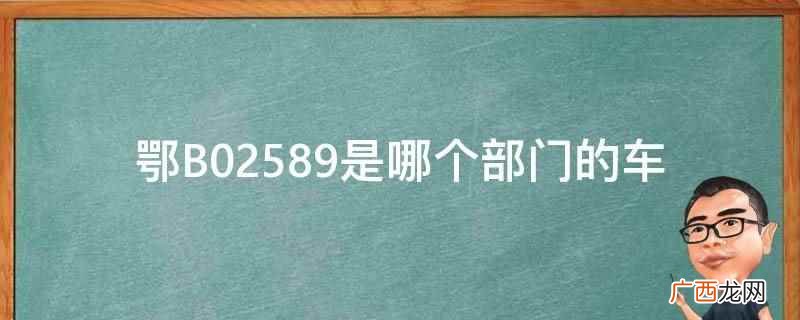 鄂B02589可以确定是湖北省黄石市的车 鄂B02589是哪个部门的车