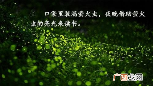 囊萤夜读是什么意思,囊萤夜读的故事和含义简写？