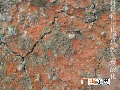 紫色土壤是怎么形成的,紫色土壤的成因？